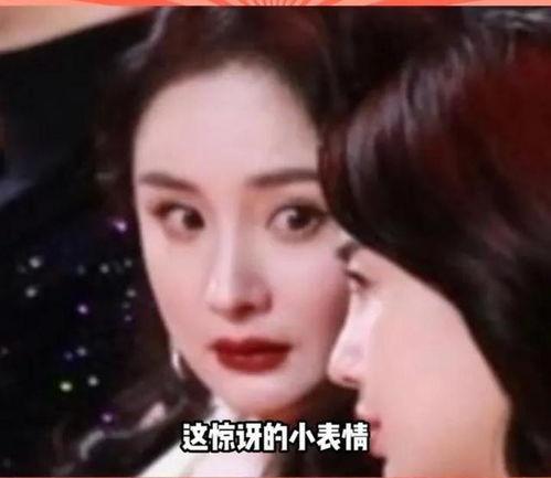 娱乐圈的瓜怎么吃,教你如何品鉴娱乐八卦